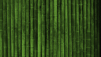 Bamboo Wall High Definition Fullscreen | | Pinterest | Bamboo , and HD wallpaper