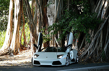 Lamborghini Murcielago LP640 Roadster, tuning, car, lambo, lp640, murcielago HD wallpaper