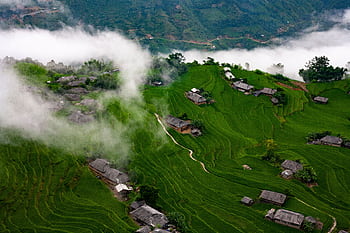 Aerial view of lush green rice terraces in Hoàng Su Phì, Vietnam, with misty clouds. HD wallpaper
