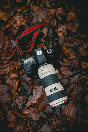 Leaves, Lens, Technologies, Technology, Camera HD phone wallpaper
