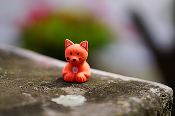 Fox, Miscellanea, Miscellaneous, Blur, Smooth, Close-Up, Toy HD wallpaper