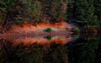 Landscape, Nature, Water, Trees, Forest, Basin HD wallpaper