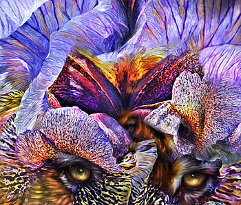 Wild goddess, iris, art, carol cavalaris, eyes, orange, purple, pink, painting, abstract, pictura, luminos HD wallpaper