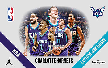 Charlotte Hornets, charlotte, NBA, hornets, basketball HD wallpaper