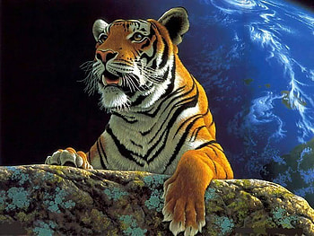 BIG CAT, animal, tiger, cat, hill, oilpainting, rock HD wallpaper