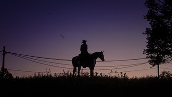 Red Dead Redemption 2 - Lonely night, purple, night, horse, cowboy, silhouette, video game, Red Dead Redemption 2 HD wallpaper
