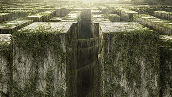 The Maze Runner (2022) movie HD wallpaper