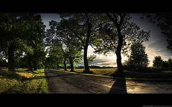 Enter the road, road HD wallpaper