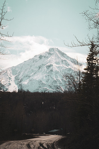 Nature, Mountain, Vertex, Top, Forest, Snow Covered, Snowbound HD phone wallpaper