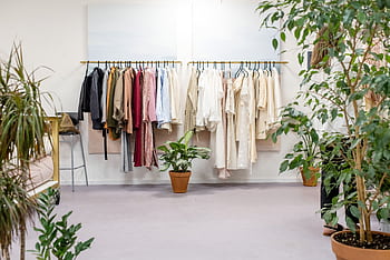Chic fashion boutique showcasing vibrant clothing collection with lush indoor plants. HD wallpaper
