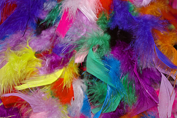 Background, Feather, Miscellanea, Miscellaneous, Multicolored, Motley HD wallpaper