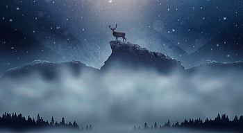Christmas deer, art, christmas, holidays, deer, , digital art, xmas HD wallpaper