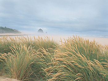 Landscape, Beach HD wallpaper