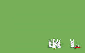 Funny, Background, Rabbits HD wallpaper