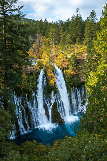 Nature, Trees, Waterfall, Branches, Break, Precipice HD phone wallpaper