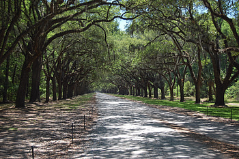 Savannah GA, 48 HD wallpaper