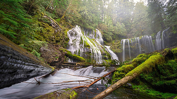 Panther Falls, Washington state, river, landscape, cascades, trees, forest, mountains, usa HD wallpaper