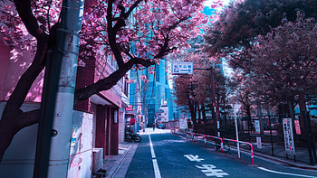 Japan style, light, nature HD wallpaper