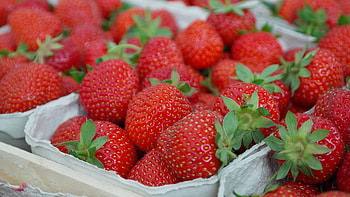 Food, Strawberry, Berries, Ripe HD wallpaper