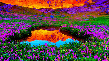 Purple Snapdragon, Purpl, Water, Snapdragon, Flowers, Reflection, River HD wallpaper