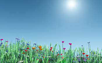 fonds d'écran printemps - fond d'écran thème gratuit - - Tip HD wallpaper