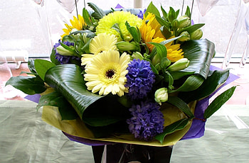 Flowers, Gerberas, Registration, Typography, Beauty, Bouquet HD wallpaper