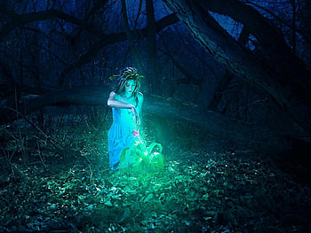 Fairy in the forest, mystic, magic, colors, girl, beautiful, dark, fairy, lady, flower, splendor, forest HD wallpaper