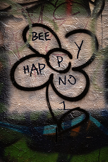 Flower, Words, Wall, Inscription HD phone wallpaper