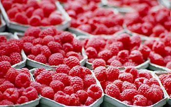Food, Raspberry, Berry, Ripe, Bags, Pouches HD wallpaper