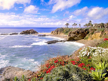 at the oceans, sea, flower, trees, sky, nature, grass, rock HD wallpaper