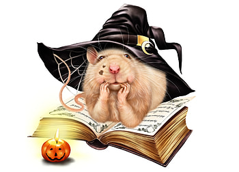 Happy Halloween!, spell, maryline cazenave, witch, halloween, book, mouse, fantasy, rat, pumpkin, hat HD wallpaper