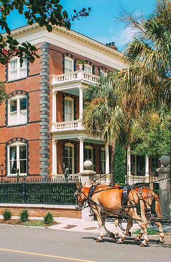 Charleston Travels, Things to Do, Beautiful Places HD phone wallpaper