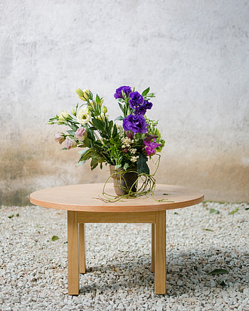 Exceptional flowers, Different cities, Floral treasure hunt, The New York Times HD phone wallpaper