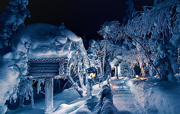 Winter Night, Winter, Nature, Night, Snow HD wallpaper