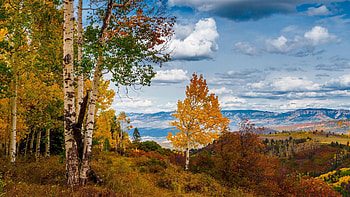 Last Dollar Road, San Juan Mountain, Colorado, aspens, trees, clouds, landscape, sky, usa HD wallpaper