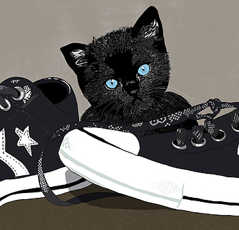 Art, Kitty, Kitten, Sneakers, Illustration, Sweetheart, Nice, Shoes HD wallpaper