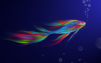 Background, Fishes HD wallpaper