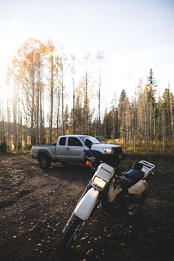 Motorcycles, Suzuki, Forest, Car, Machine, Motorcycle HD phone wallpaper