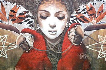 :), face, pasari, parrot, bird, art, sophie wilkins, strelitzia, fantasy, flower, red, portrait HD wallpaper