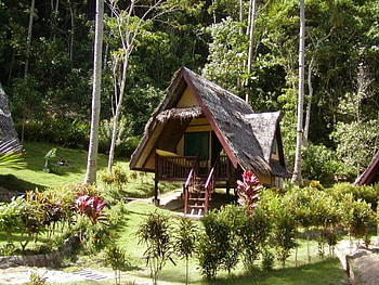 home, trees, plants, forest, house HD wallpaper