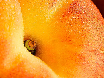 Piersica, fruct, gustos HD wallpaper