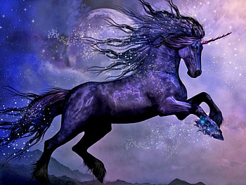 Transcending, unicorn, magic, moon, fantasy HD wallpaper