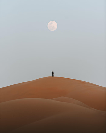 Nature, Sand, Moon, Desert, Silhouette HD phone wallpaper