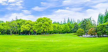Green park, Sky, Clouds, Garden, Trees HD wallpaper