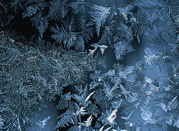 Frost, blue, winter, frozen, , cold, abstract, iceflowers, snow, , nature, ice, ze HD wallpaper