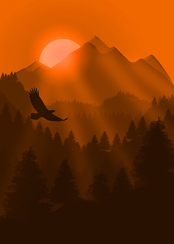 Sunset, Art, Mountains, Vector, Bird, Eagle HD phone wallpaper