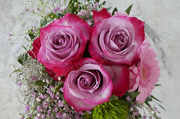 Pink rose, bouquet, flowers HD wallpaper