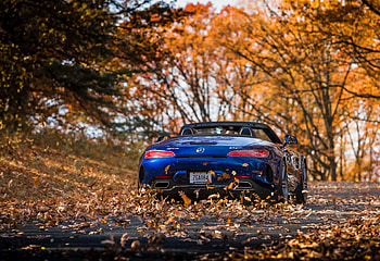 2018 Mercedes-AMG GT C Roadster, rear, fall HD wallpaper