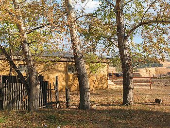 Nature, Autumn, House, Village, Fence, Barn, Shed, Kazakhstan, Lobanovo, Chelkar HD wallpaper
