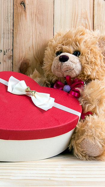Teddy Bear Ka, Valentines, Gift Box, love HD phone wallpaper